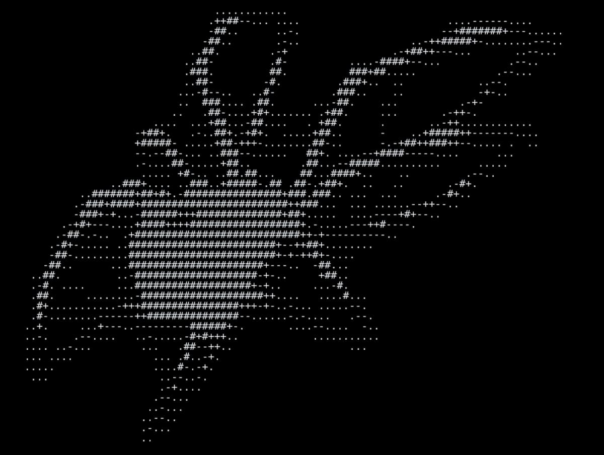 Detailed ASCII art spider rendered as high-quality image for precise aspect ratio preservation, serving as decorative background element in the contact section